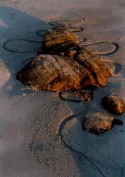 Hommage an Andy Goldsworthy 1